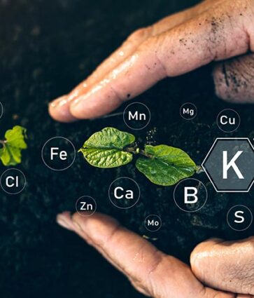 Confiança e investimentos marcam ação das fabricantes de fertilizantes