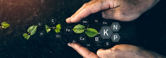 Confiança e investimentos marcam ação das fabricantes de fertilizantes