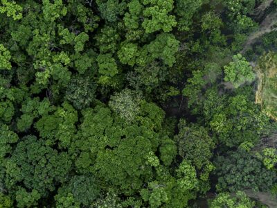 Tecnologia para reduçãode impactos ambientais
