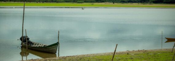 MRN revela jornada de restauração ecológica do Lago Batata
