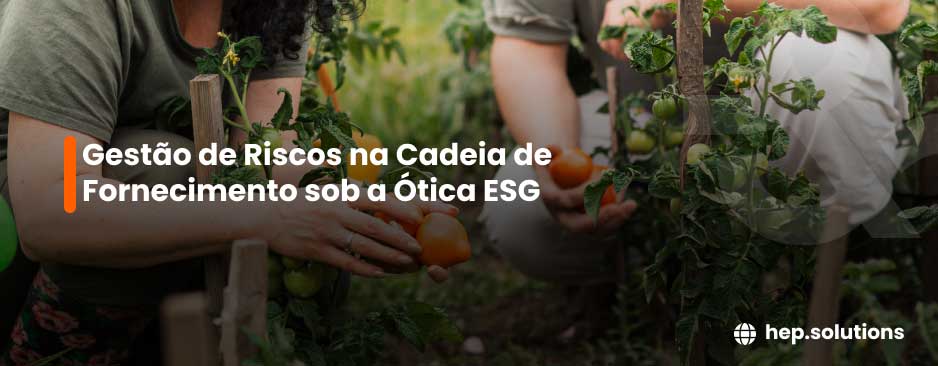 Artigo: Gestão de Riscos na Cadeia de Fornecimento sob a Ótica ESG