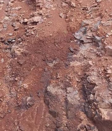 Estudo do SGB revela potencial de titânio nos solos do Paraná e de Santa Catarina