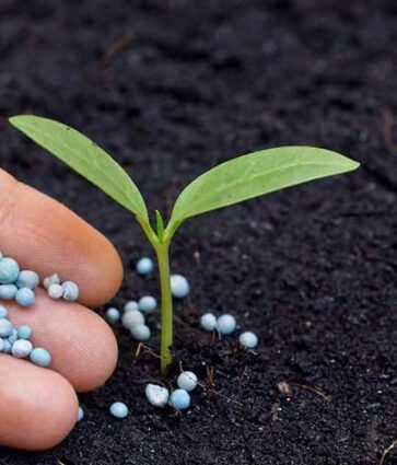 Fertilizantes também são tema na Exposibram