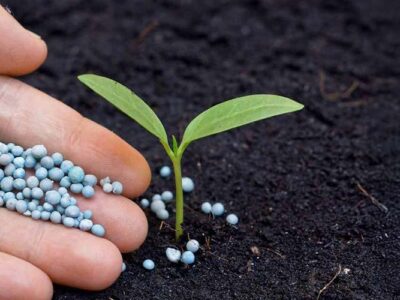 Fertilizantes também são tema na Exposibram