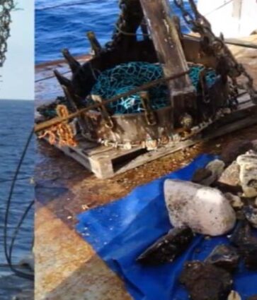 SGB disponibiliza inventário das amostras da Elevação do Rio Grande 