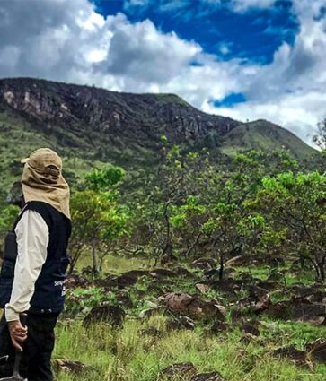 SGB lança trabalho que sintetiza geologia e potencial mineral de Roraima