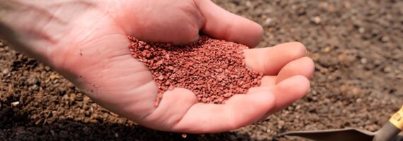 Projeto de potássio avança e confirma início das operações em 2027