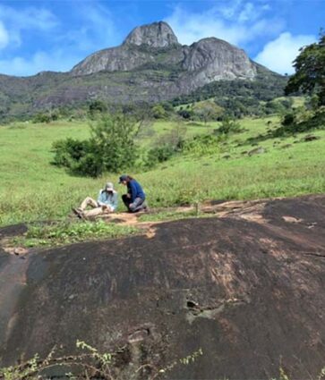 SGB busca novas áreas para minerais estratégicos na BA e no MG
