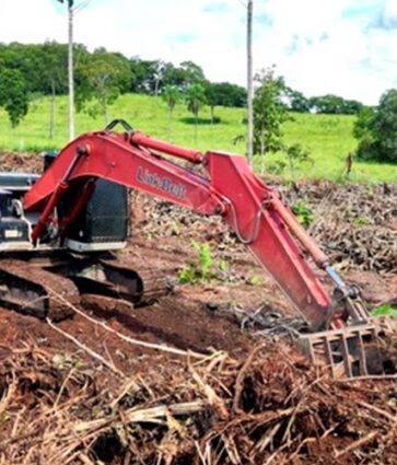Link-Belt amplia vendas na América Latina em cenário de retomada