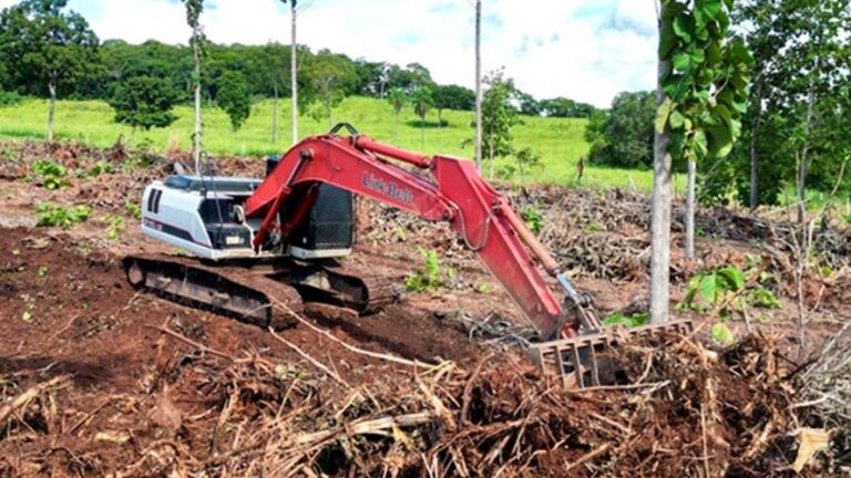 Link-Belt amplia vendas na América Latina em cenário de retomada