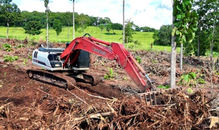 Link-Belt amplia vendas na América Latina em cenário de retomada