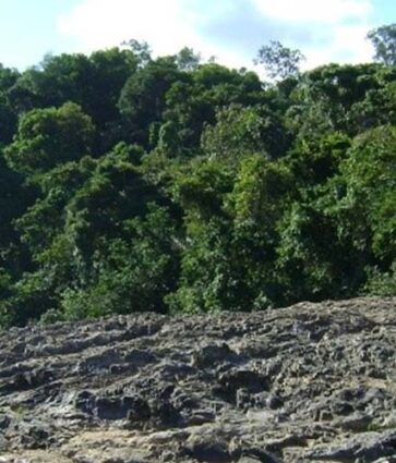 SGB lança novo produto sobre recursos do Tapajós