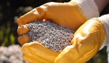 Remineralizador ganha aporte para redefinir nutrição de safras no Brasil