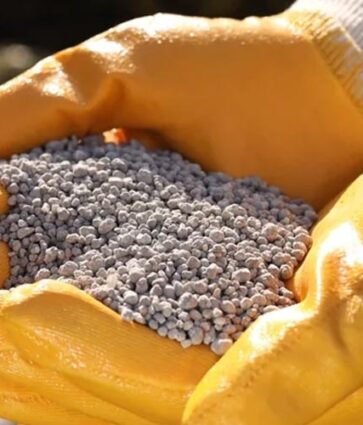 Remineralizador ganha aporte para redefinir nutrição de safras no Brasil