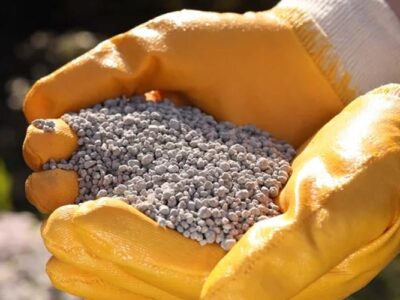 Remineralizador ganha aporte para redefinir nutrição de safras no Brasil