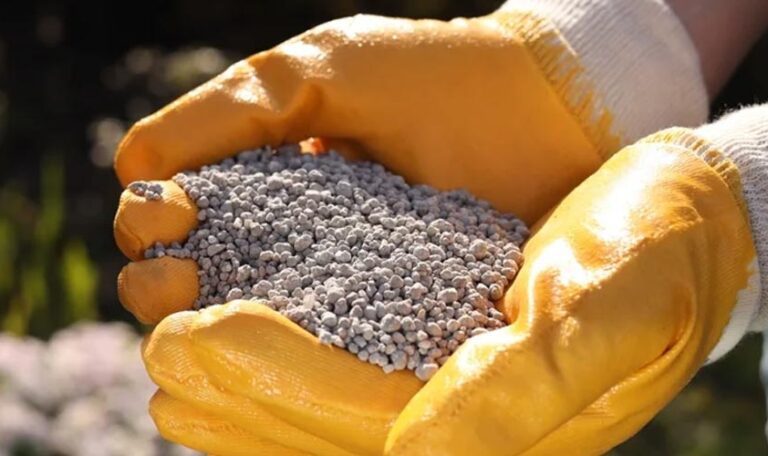 Remineralizador ganha aporte para redefinir nutrição de safras no Brasil