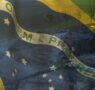 Mineração: No palco global, as reservas brasileiras são essenciais